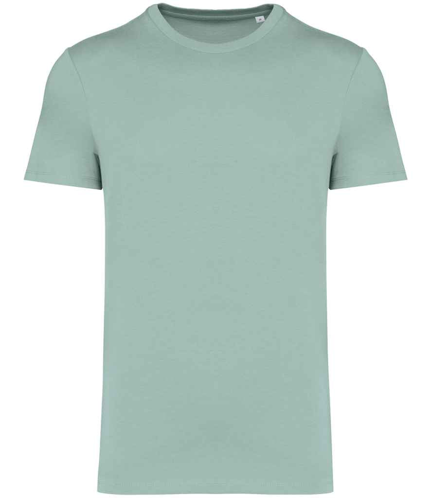 Native Spirit Unisex Heavyweight T-Shirt